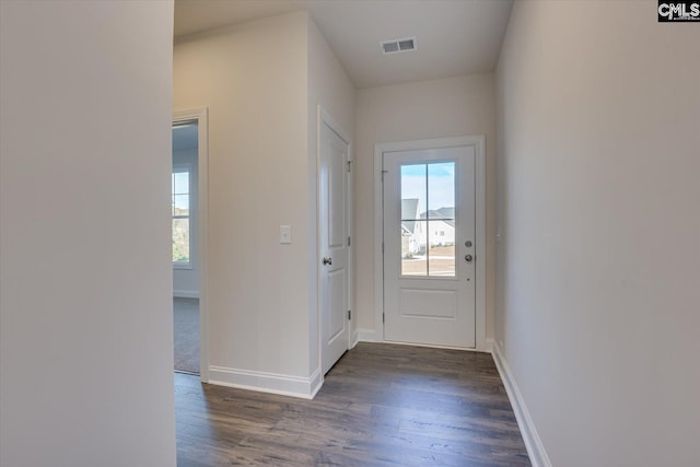 entryway with plenty of natural light and dark hardwood / wood-style flooring