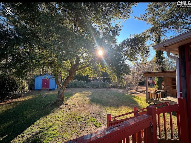 view of yard with a shed