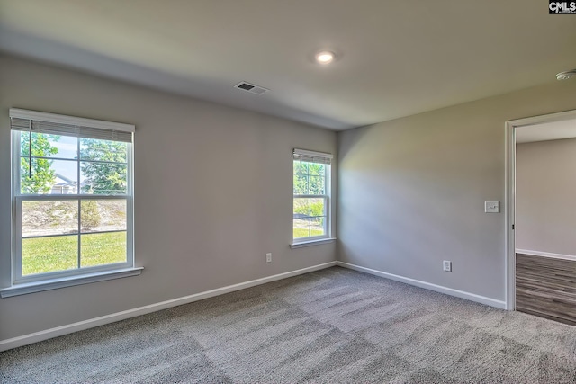 carpeted spare room with a wealth of natural light