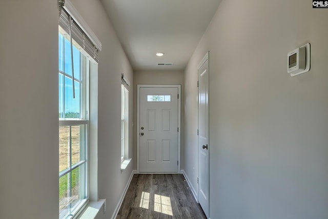 doorway to outside featuring a healthy amount of sunlight and dark hardwood / wood-style floors