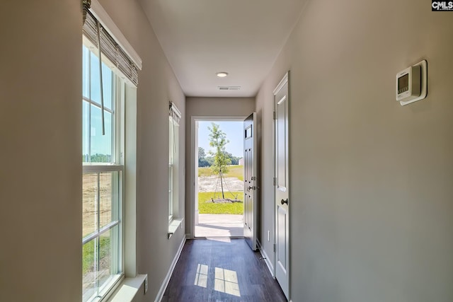 entryway featuring a wealth of natural light and dark hardwood / wood-style floors