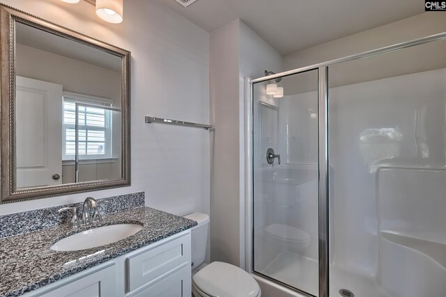 bathroom with vanity, a shower with shower door, and toilet