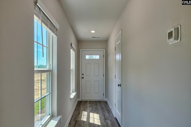 doorway to outside featuring a wealth of natural light and dark hardwood / wood-style flooring