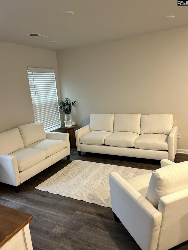 living room featuring dark wood-type flooring