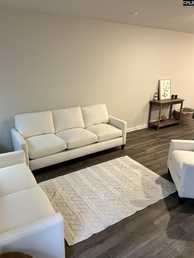 living room with dark wood-type flooring