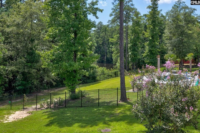 view of home's community with a yard