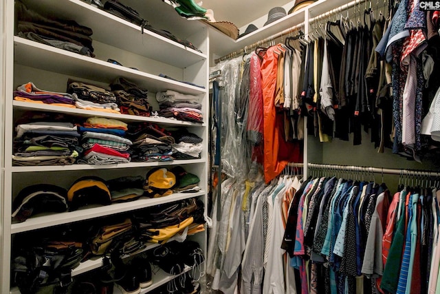 view of walk in closet