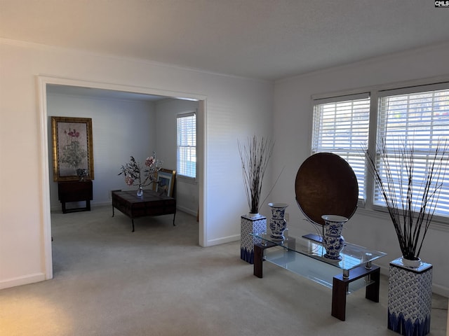 living area with light colored carpet and a healthy amount of sunlight