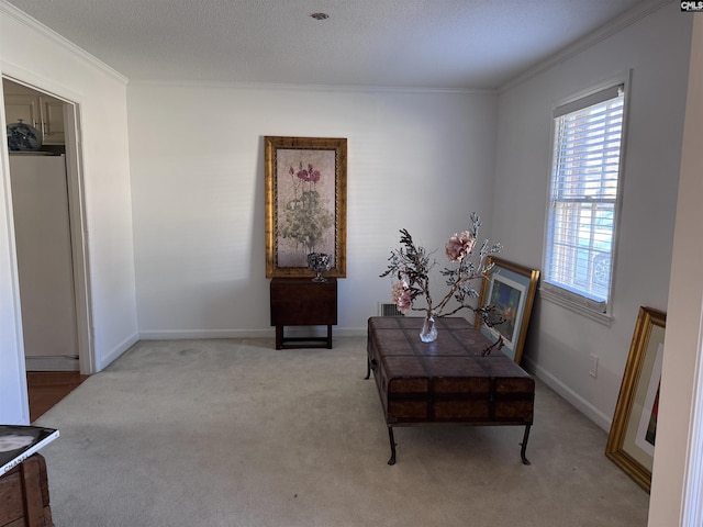 home office featuring crown molding and light colored carpet