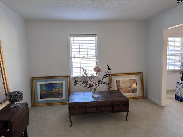 living area featuring light carpet, a textured ceiling, and crown molding