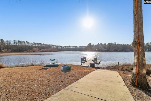 view of water feature featuring a boat dock