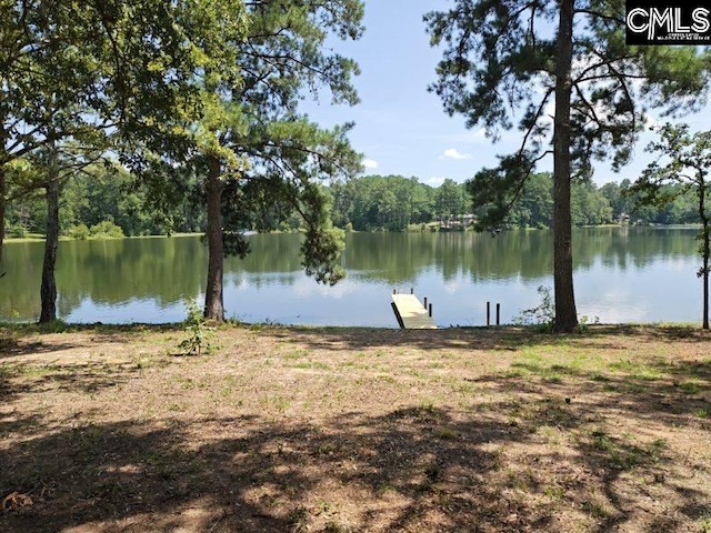 833 Edisto Lake Rd Unit 48, Wagener SC, 29164 land for sale