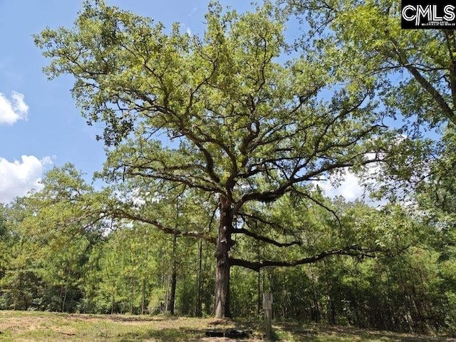 Listing photo 2 for 833 Edisto Lake Rd Unit 48, Wagener SC 29164