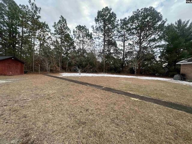 view of yard with a storage shed