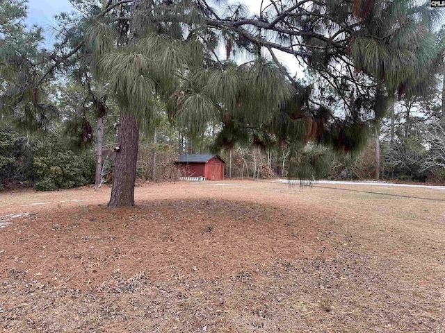 view of yard featuring a shed