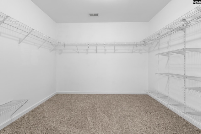 walk in closet with carpet