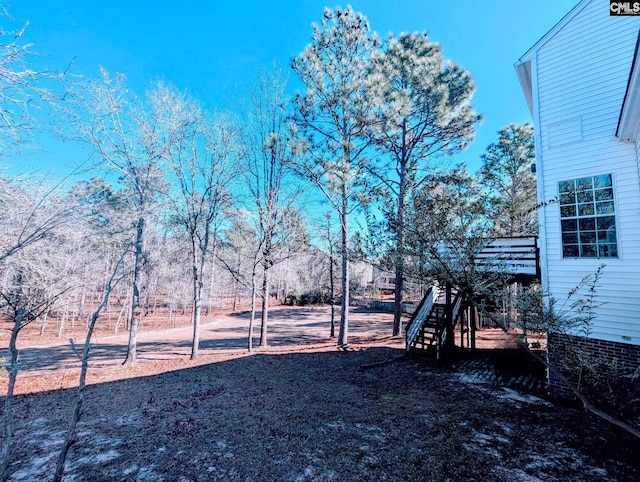 view of yard featuring stairs