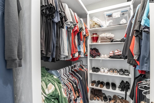 view of spacious closet