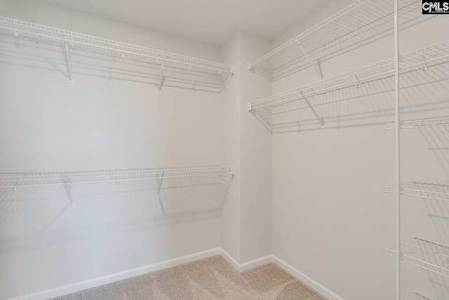 spacious closet with carpet floors