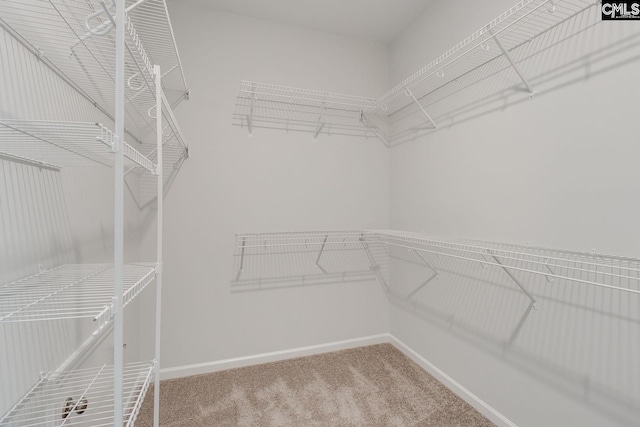 spacious closet with carpet floors