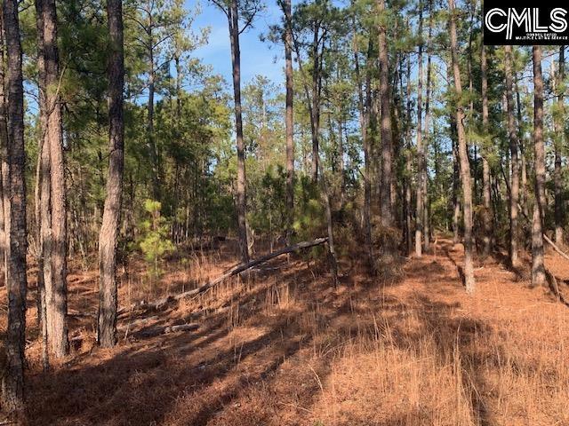 264 Willie Wilson Rd, Eastover SC, 29044 land for sale