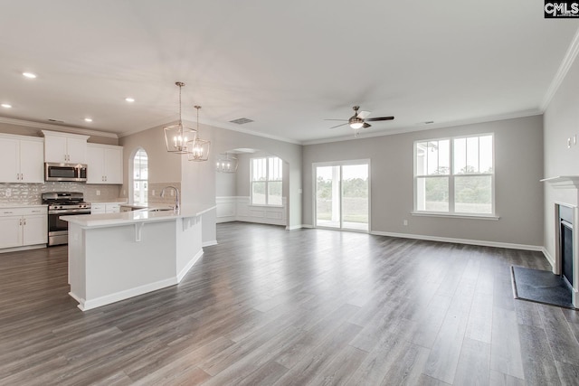 kitchen with a glass covered fireplace, dark wood-style floors, open floor plan, stainless steel appliances, and light countertops