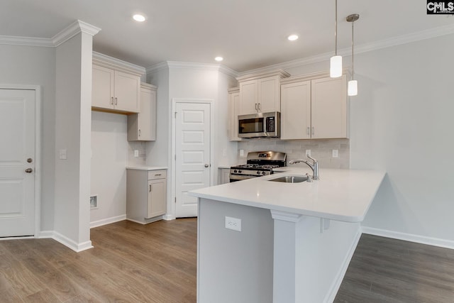 kitchen featuring stainless steel appliances, a sink, a peninsula, and wood finished floors