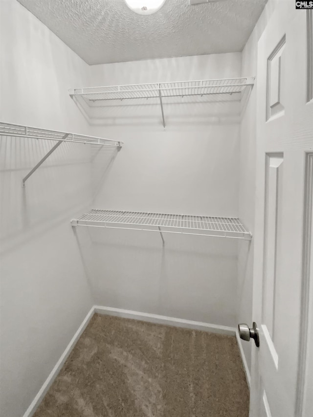 walk in closet featuring carpet flooring