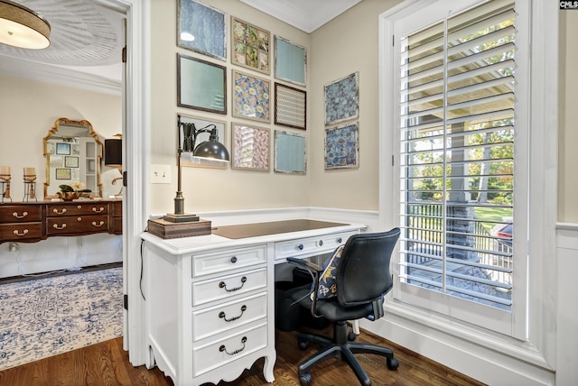 home office featuring crown molding and dark hardwood / wood-style floors