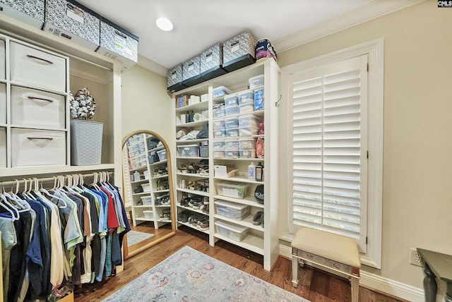 spacious closet featuring dark hardwood / wood-style floors