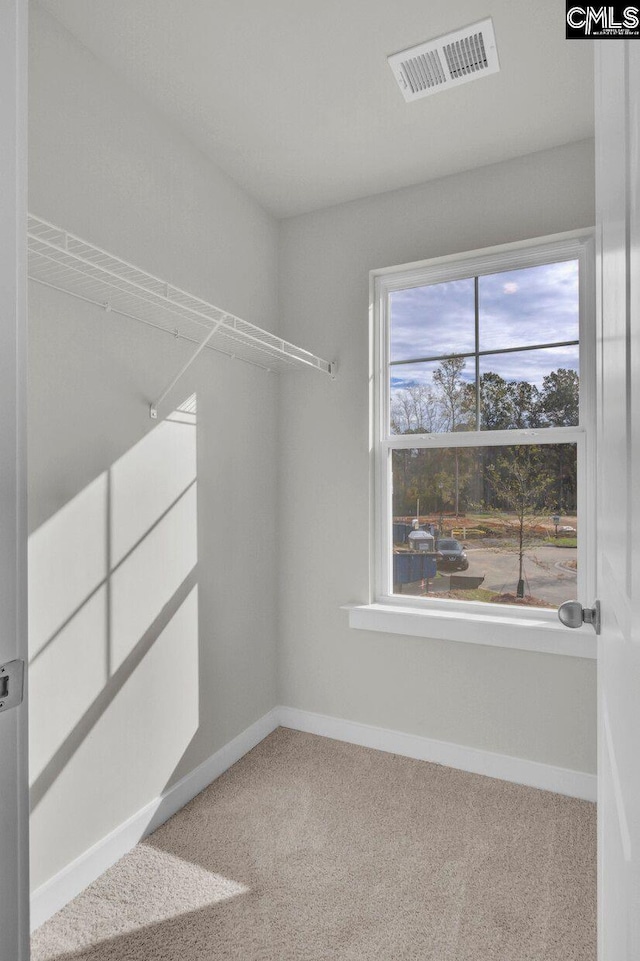 spacious closet featuring carpet