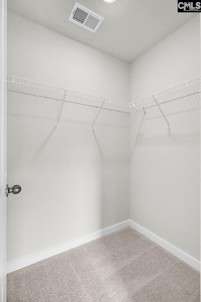 walk in closet featuring carpet