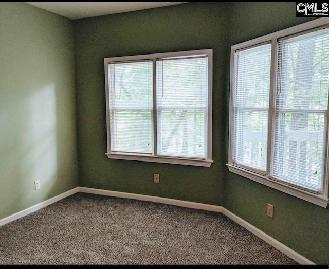 spare room featuring carpet floors