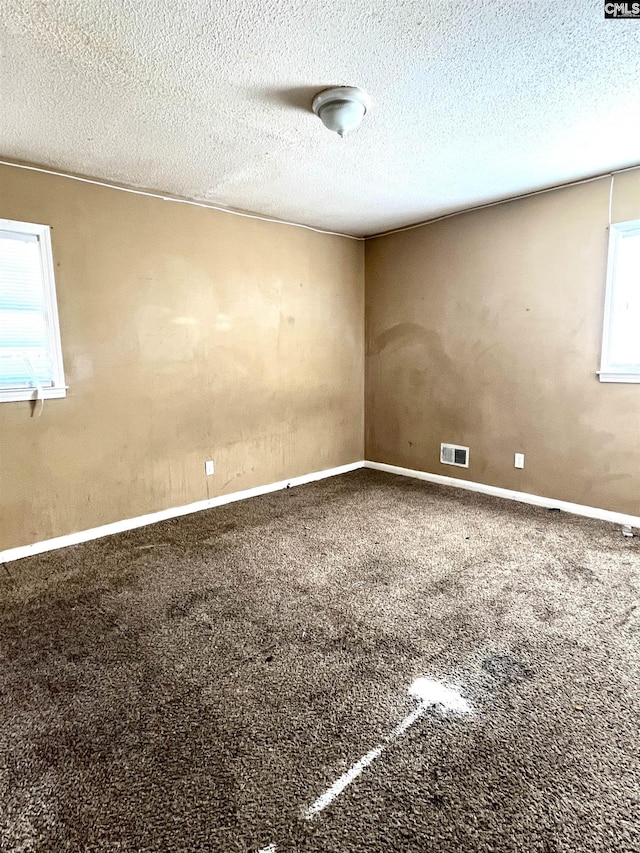 unfurnished room with carpet floors, plenty of natural light, and a textured ceiling