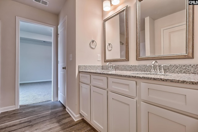 bathroom with vanity and wood-type flooring