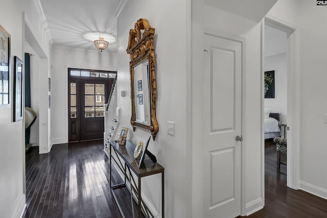 entrance foyer featuring dark hardwood / wood-style flooring and ornamental molding