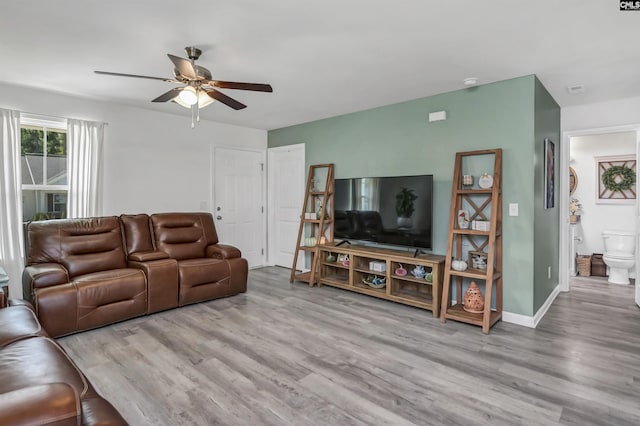 living room with ceiling fan and light wood-type flooring