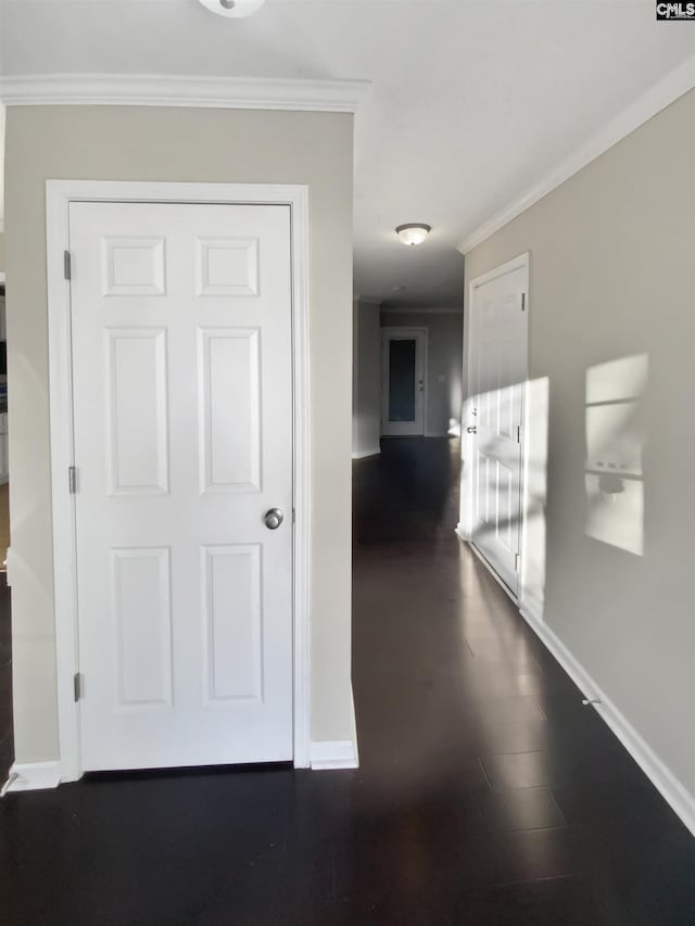 corridor featuring ornamental molding and dark hardwood / wood-style flooring