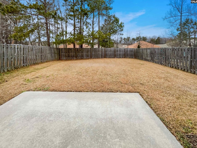 view of yard featuring a patio