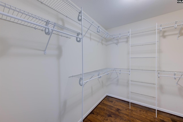 walk in closet featuring dark hardwood / wood-style floors