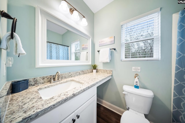 bathroom featuring vanity, hardwood / wood-style flooring, and toilet