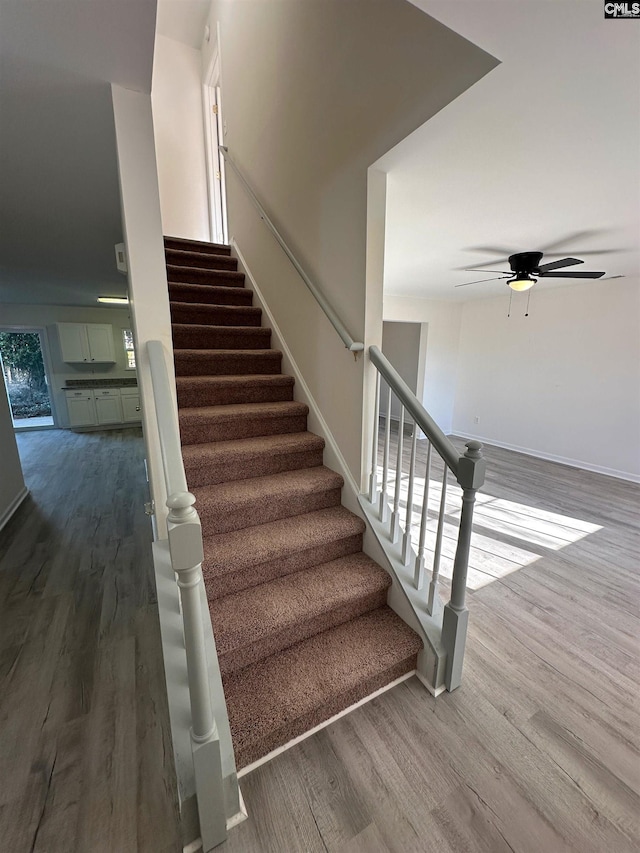 stairs with hardwood / wood-style flooring and ceiling fan