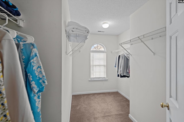 walk in closet with light carpet