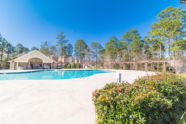 view of swimming pool with a patio