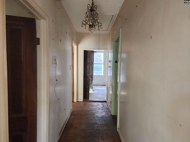 hallway with dark hardwood / wood-style floors