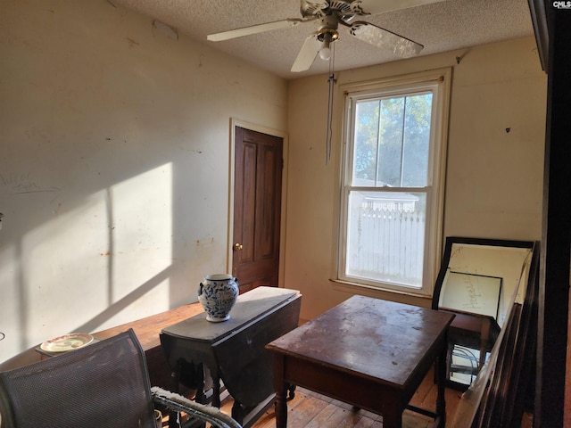 sitting room featuring ceiling fan and a textured ceiling