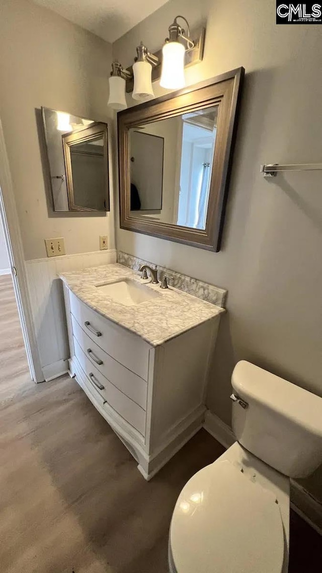 bathroom featuring vanity, toilet, and wood-type flooring