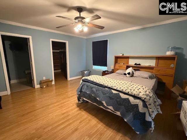 bedroom featuring ornamental molding, a spacious closet, ceiling fan, light wood-type flooring, and a closet