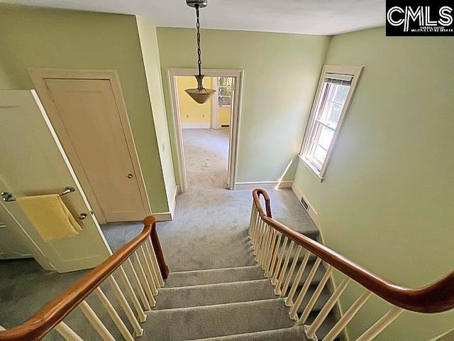 stairs featuring carpet flooring