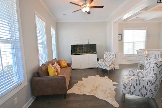 living room featuring plenty of natural light, ornamental molding, dark hardwood / wood-style floors, and ceiling fan